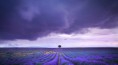 /album/fotogaleria/fotografias-1-jpg/